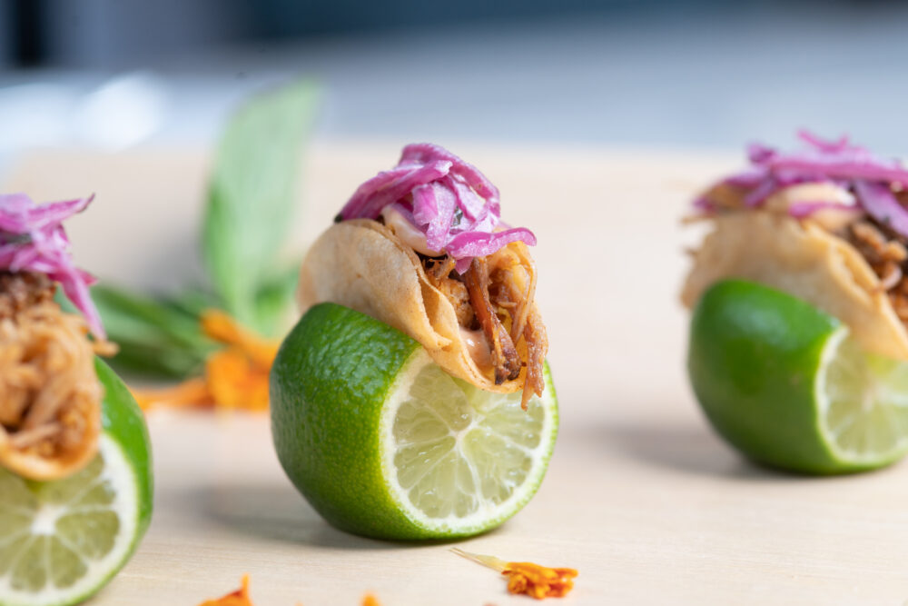Latin Braised Chicken Tacos
